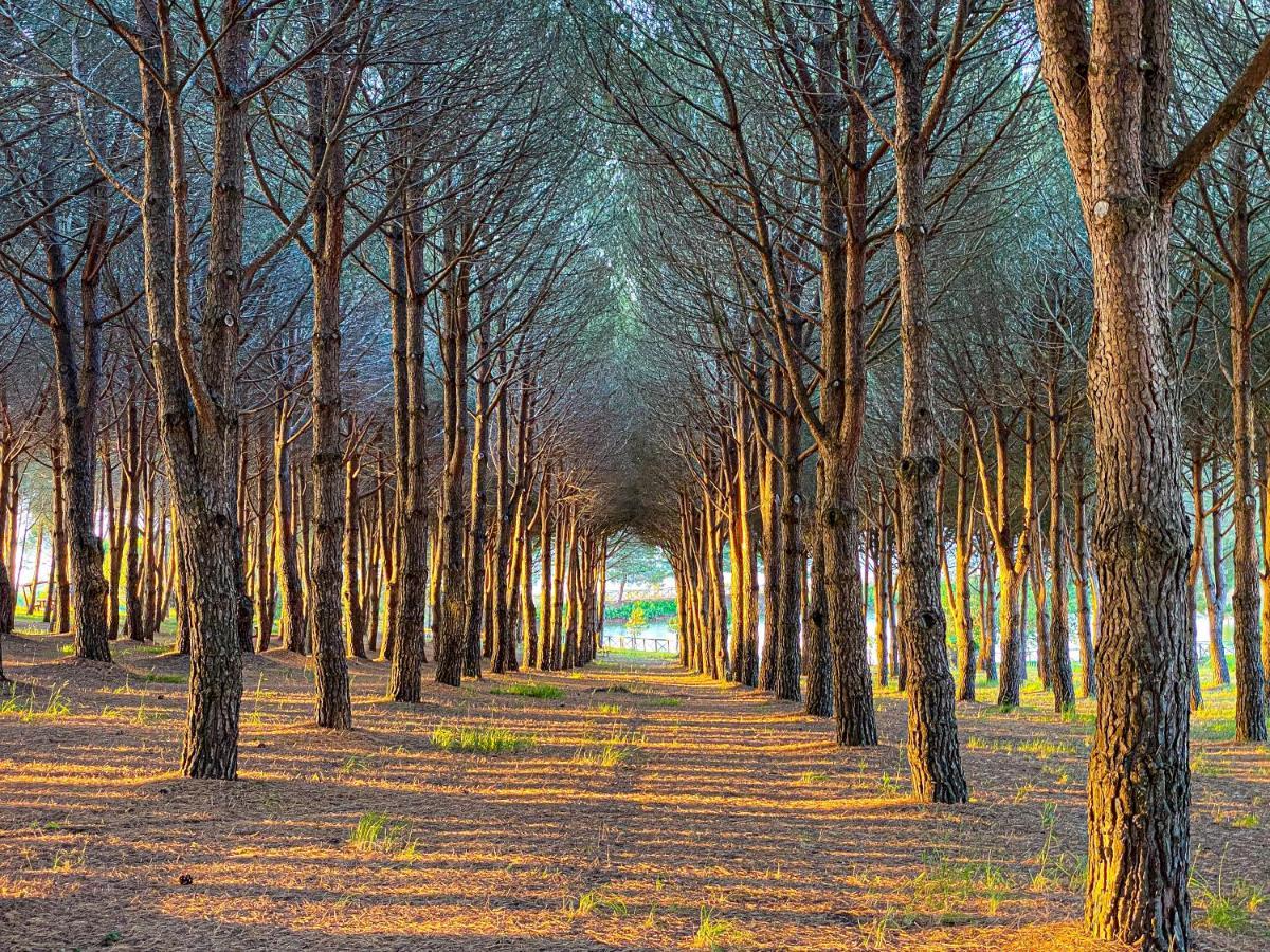 Popilia Country Resort Піццо Екстер'єр фото