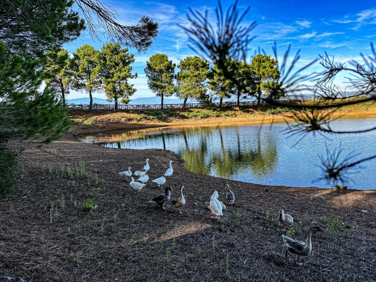 Popilia Country Resort Піццо Екстер'єр фото