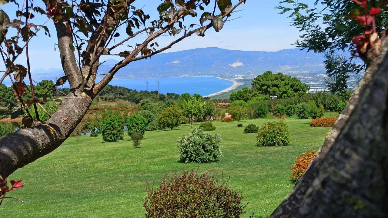 Popilia Country Resort Піццо Екстер'єр фото